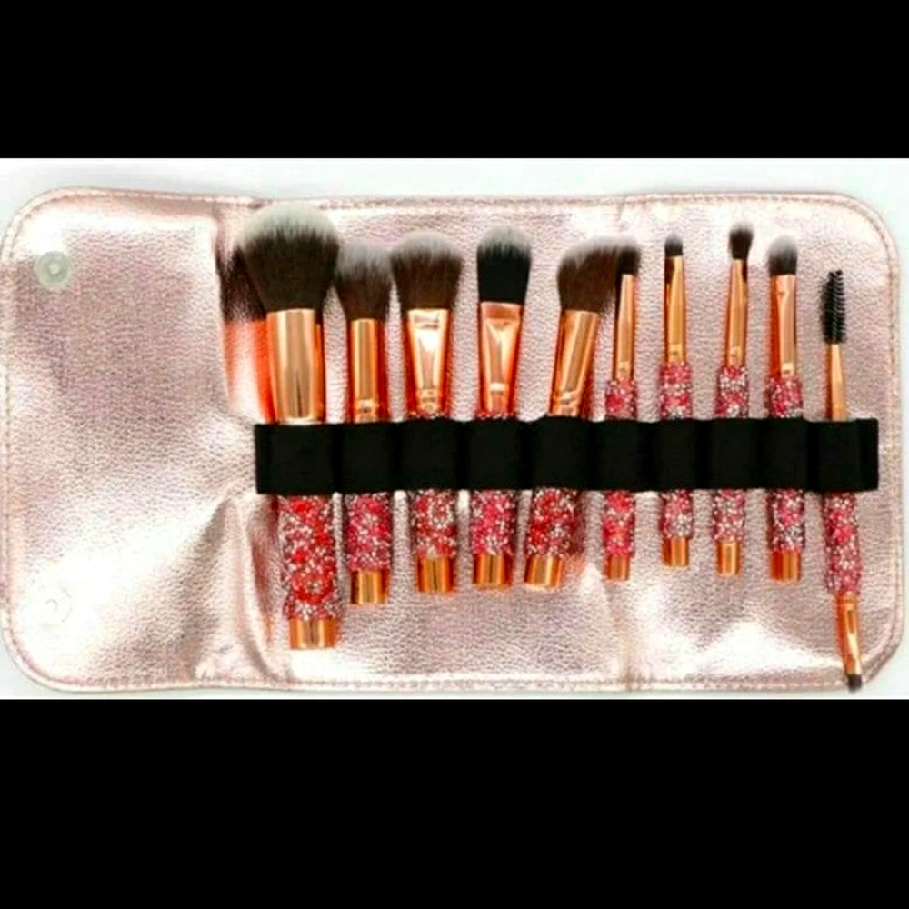 Panther 10 pcs brushes